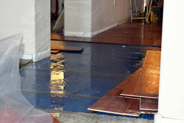 Professional Sewage Cleanup technician working in Trent, SD